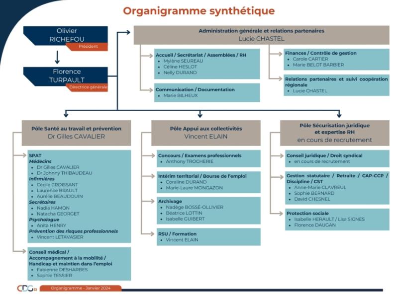 Organigramme synthétique